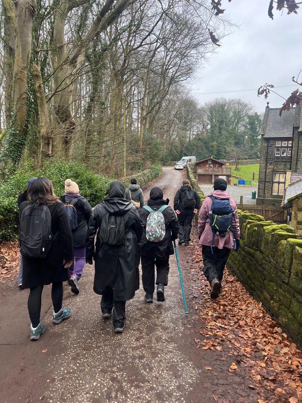 Hikes & Walks for Professionals